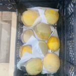 IMG-20240308-WA0013